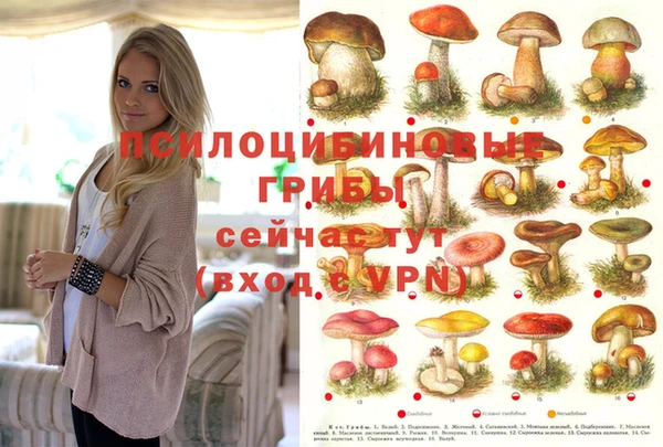 jwh Бронницы