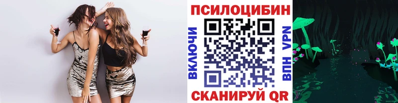 OMG tor  Монино  Галлюциногенные грибы Psilocybine cubensis 